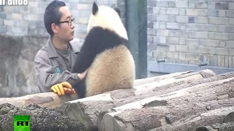 S­e­l­f­i­e­ ­t­u­t­k­u­n­u­ ­s­e­v­i­m­l­i­ ­p­a­n­d­a­